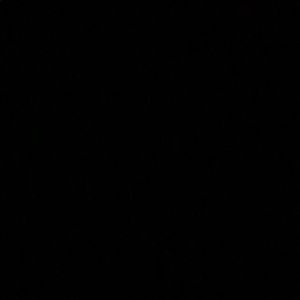 Meet your Posher, Rocio